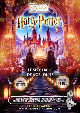 Le spectacle de Noël du 75